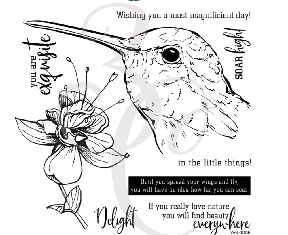 bird Transparent Clear Silicone Stamp/Seal for DIY... – Grandado