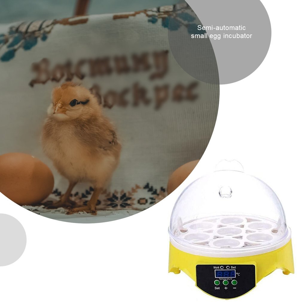 7 Eggs Incubator Bird Egg Incubator Semi-automatic Miniature Egg Incubator Pigeon Household Incubators