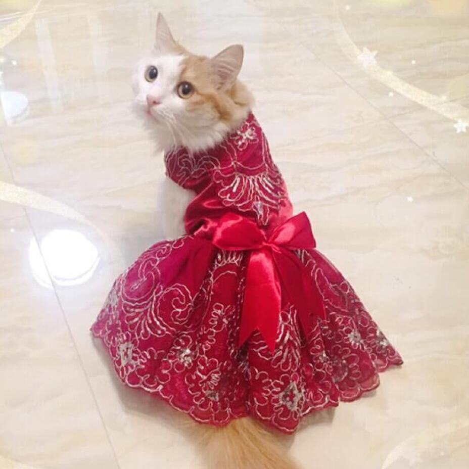 Kitten Cat Wedding Dress Lace Pet Cat Dresses Tulle Teddy Skirt for Small Cat Dogs XS S M L XL