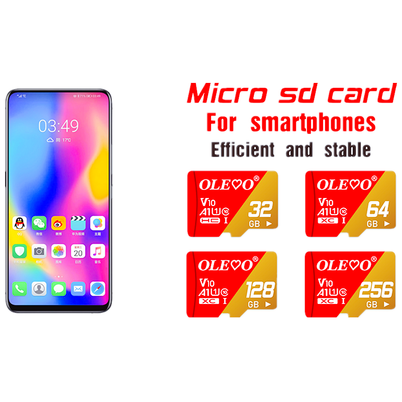 Originele Klasse 10 Geheugenkaart Evo + Evo Plus 256Gb 128Gb 64Gb 16Gb Mini Sd-kaart 32Gb Tf Kaart Cartao De Memoria Voor Mobiele Telefoon