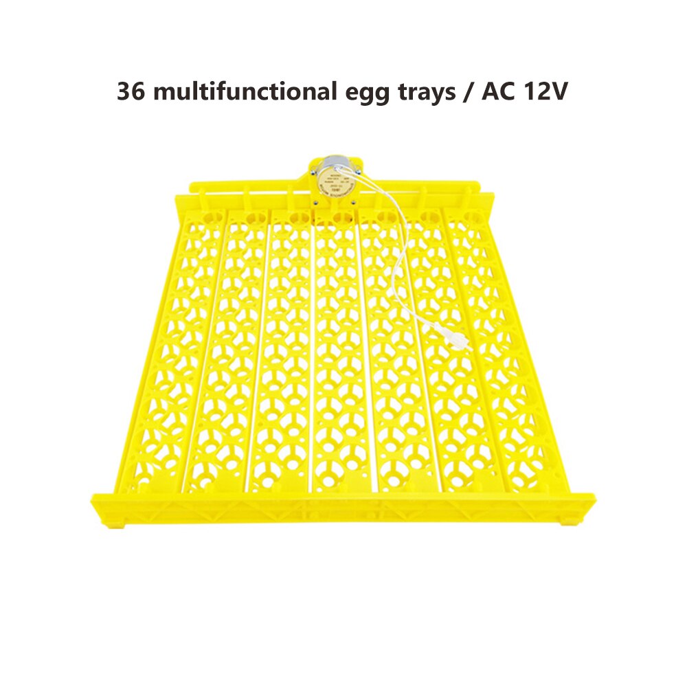 110V 220V 36 Eggs Incubator Brooder Bird Quail Chick Hatchery Incubator Poultry Hatcher Turner Automatic Farm Incubation Tools: AC 12V