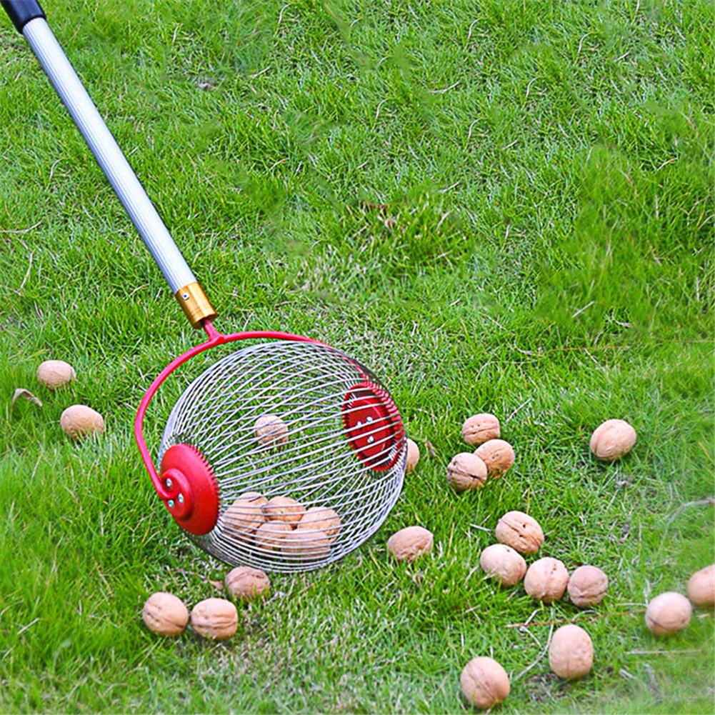 murmeln Kollektor Tragbare Ball Pflücker Leichte Nussbaum Mähdrescher mit Teleskop 18,90-41,34 in Stange für Muttern Pekannüsse Pflaumen Golf