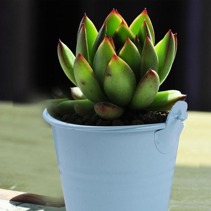 Small Plastic Bucket Tinplate Mini Keg Barrel Outdoor Garden Household Watering Flower Kitchen Bucket Bathroom Water G3D0