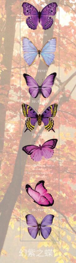 Vlinder Collector Series Leuke Dromerige Washi Masking Tape Stickers Bloem Scrapbooking Briefpapier Decoratieve Lange Strip Tape: 2