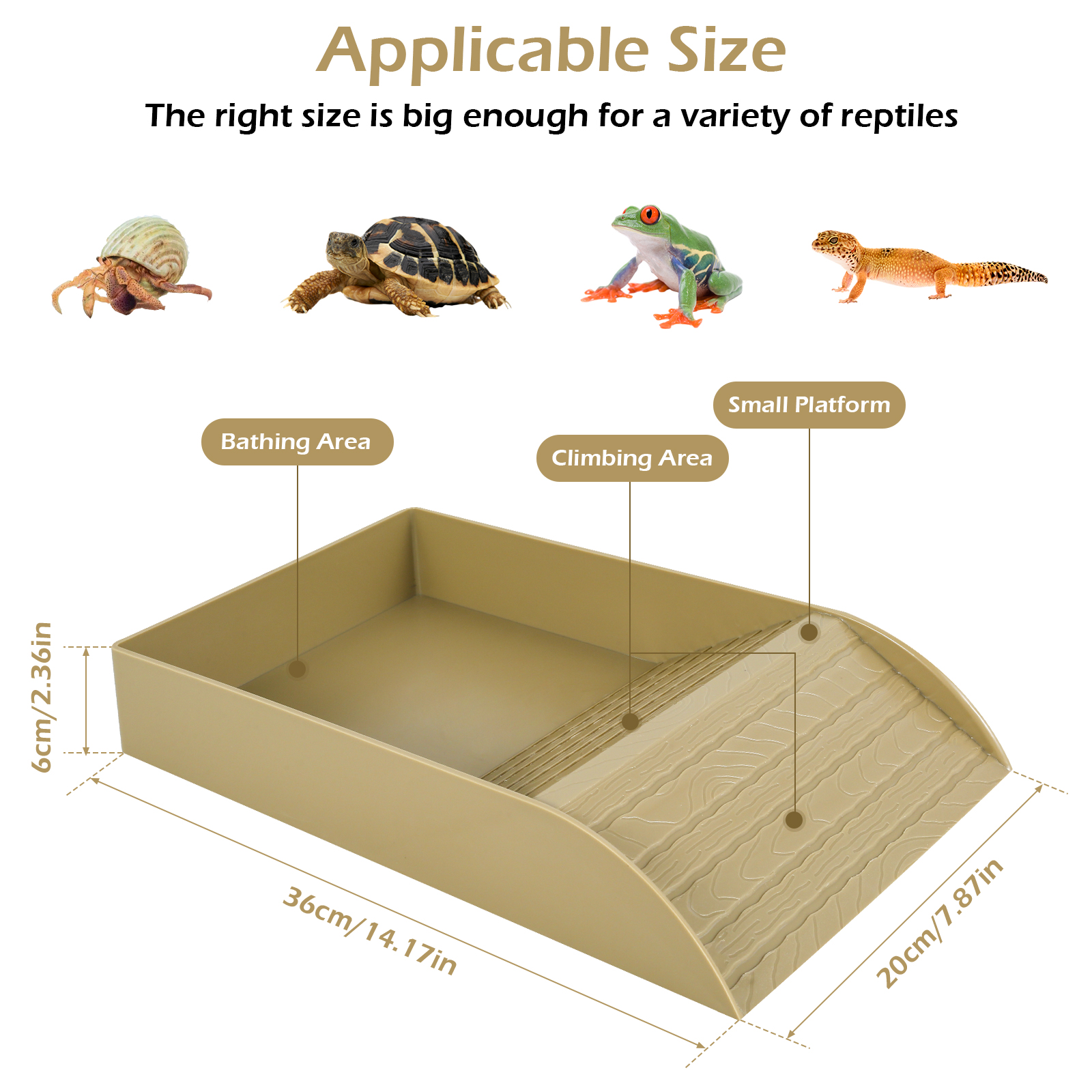Plato de comida para tortuga, cuenco de plástico para comida y agua, accesorio para hábitat de tortuga con rampa antideslizante, piscina de baño para reptiles y tortugas: SCARLET