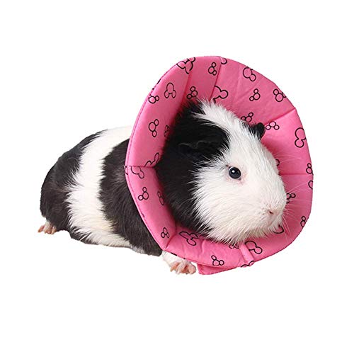Small Pets Protection Cone Neck Recovery Collar Adjustable E-Collar for Guinea Pig Mouse Rats Ferret Squirrel Chinchilla Kitten