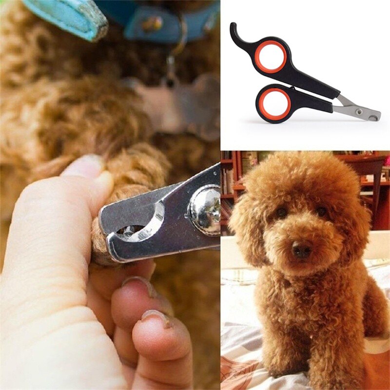 Dog Grooming Supplies - Dog Clippers, Hair Trimmers & More | PetSmart - How To Groom A Dog With Clippers And A Nail Trim