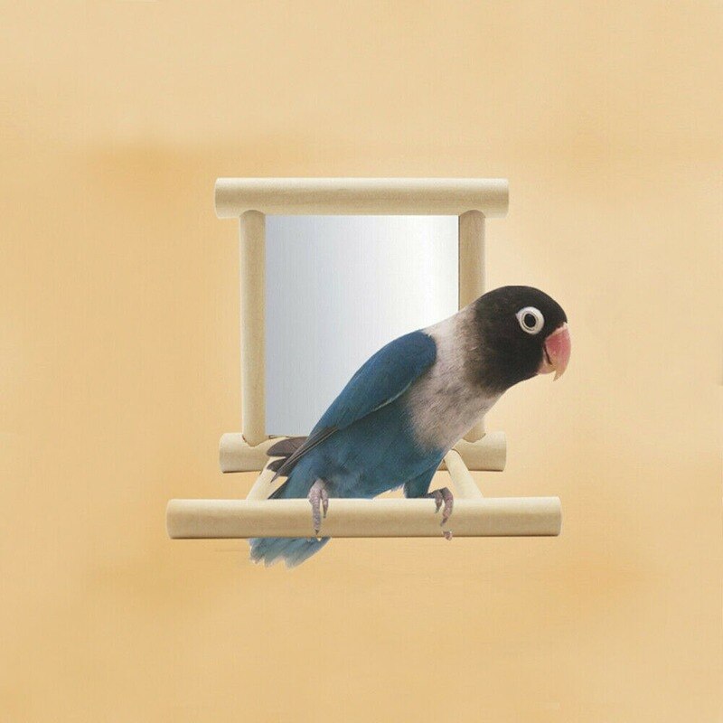 Vitamina Calce Quiko 200g - Integratore Minerale Per Uccelli, Piccioni E Polli, Made In Germany - Foto 8