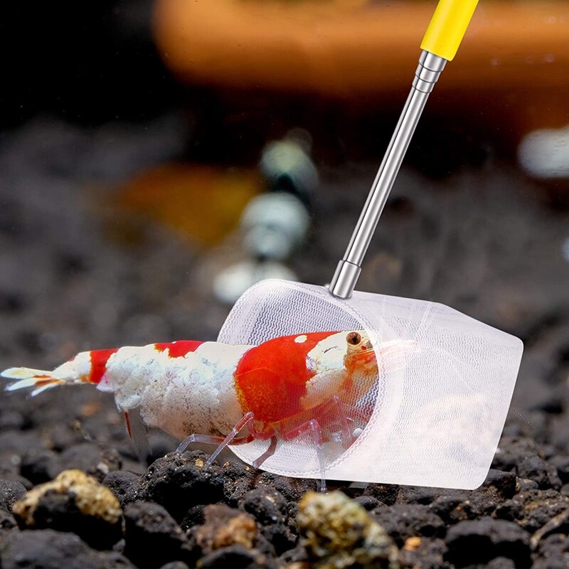 Fish Tank Shrimp Net Extendable Handle Shrimp Net Aquarium Stainless Steel Small Fishing Net Fish Shrimp Skimming Net