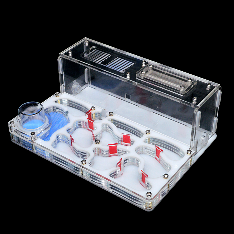 Diy akrylmyrbo stort stor myrgård med utfodringsområde stort myrahus för myrstack med verkstadslott 15*20*7.5cm