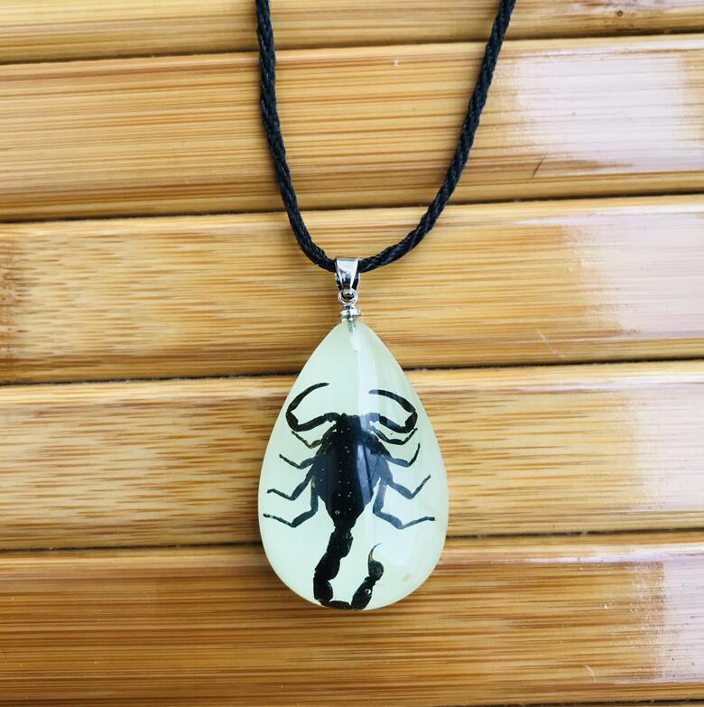 Resin Insect Charms Necklace Luminous Insects Amber Pendant Rope Necklaces Scorpion Ant Stalls Manufacturers: K6301-2