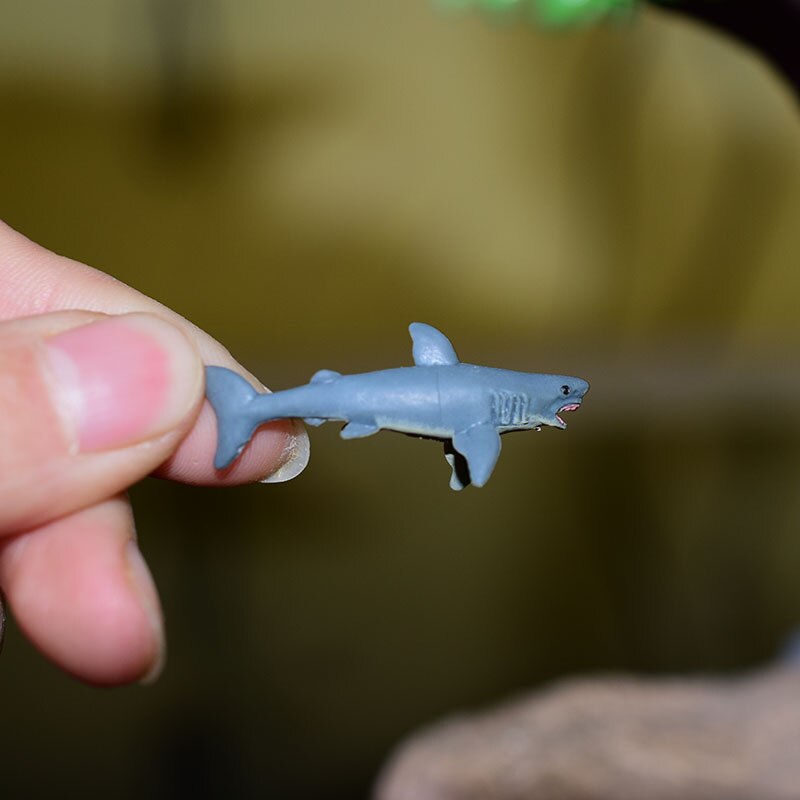 Miniatuur Oceanen Diermodel Schildpad Alligator Walvis Haai Dolfijn Pinguïn Clownfish Kikker Zee Wereld Mini Figurine Decor Speelgoed: shark