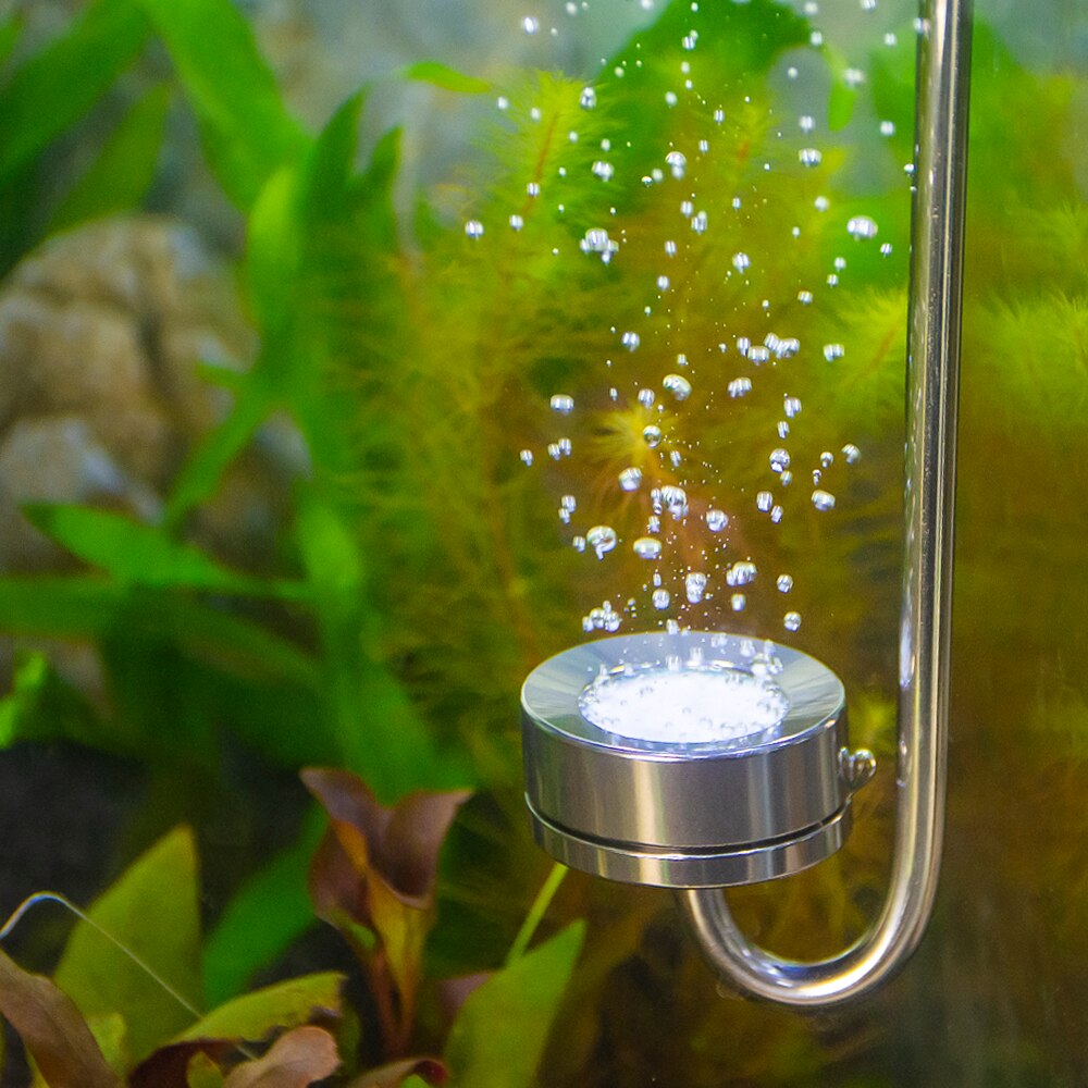 Aquarium CO2 Diffuser Stainless Steel CO2 Diffuser... – Grandado