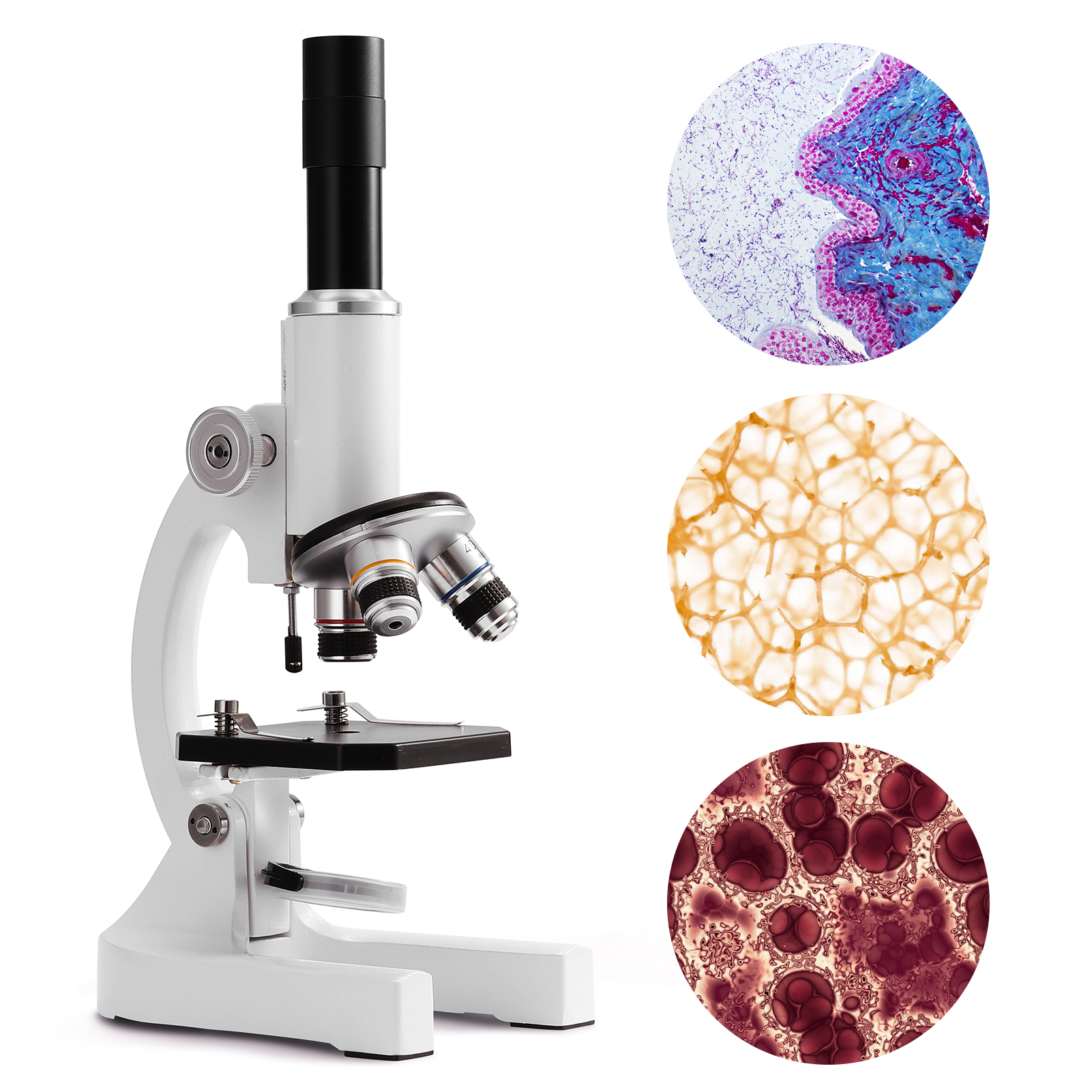 Meterk 64X-2400X Monocular Optical Microscope Elem... – Grandado
