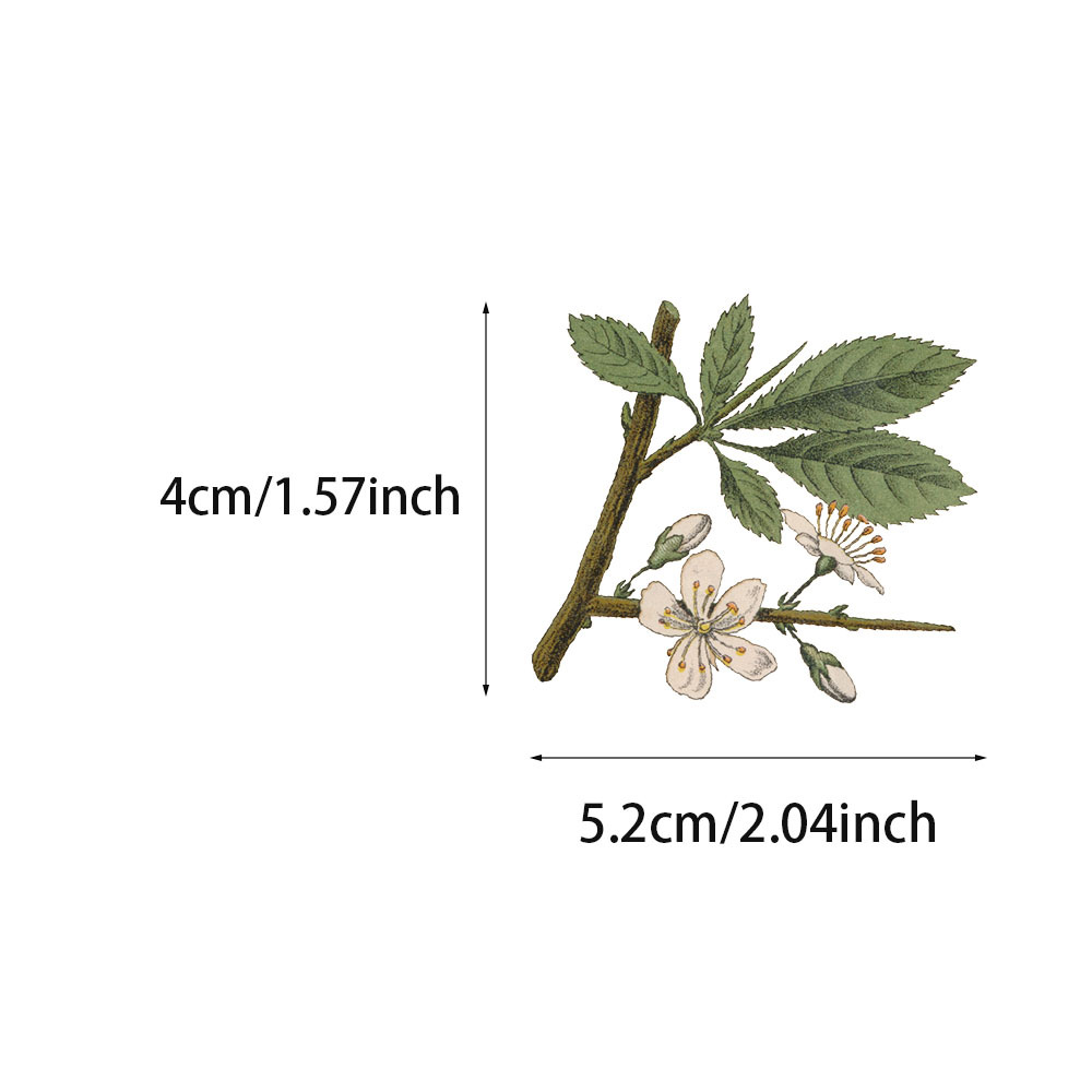 50 przezroczyste naklejki z motywem roślin w stylu vintage, wodoodporne, do dekoracji zwierząt, naklejek na notatniki i gitary