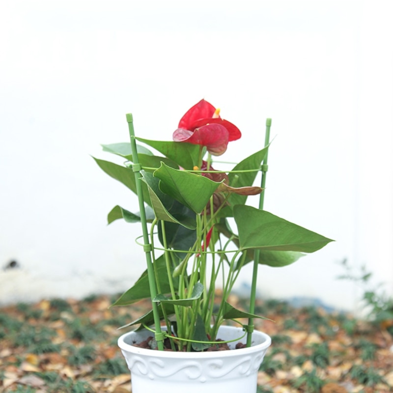 Puutarhakasvien tuki kiipeilykasvit 45cm 60cm kartiomainen ristikkotukikehys  k1mf