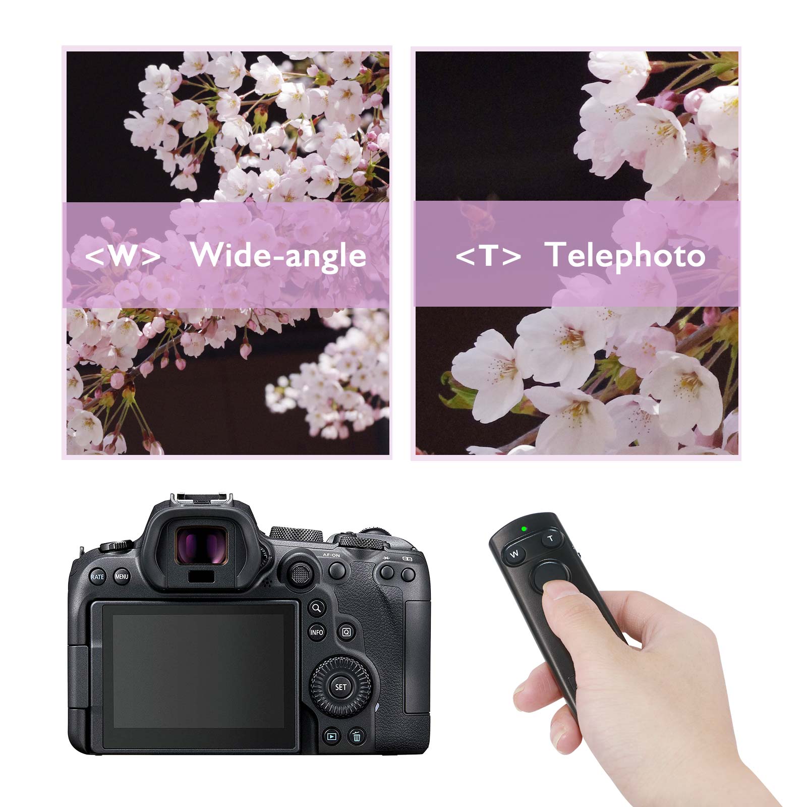 Wireless Shutter Release Remote Control for Canon EOS M50 M6II 6DII T7i T8i 77D SL2 SL3 G5XII G7XIII SX70HS Replace Canon BR-E1