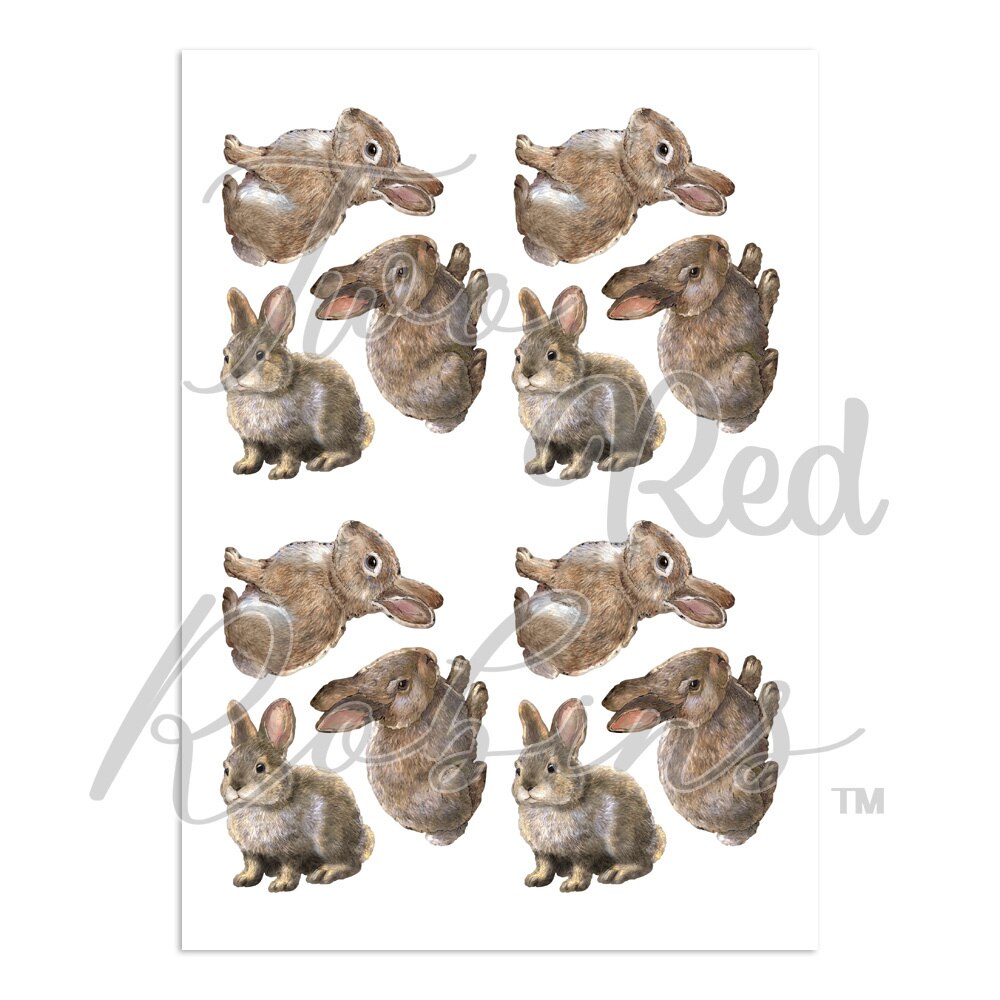 From Afar Telegraph Pole Silver Birch Forest a Fluffle Rabbit Metal Die Cut Set Scrapbooking Decoration Embossing Molds