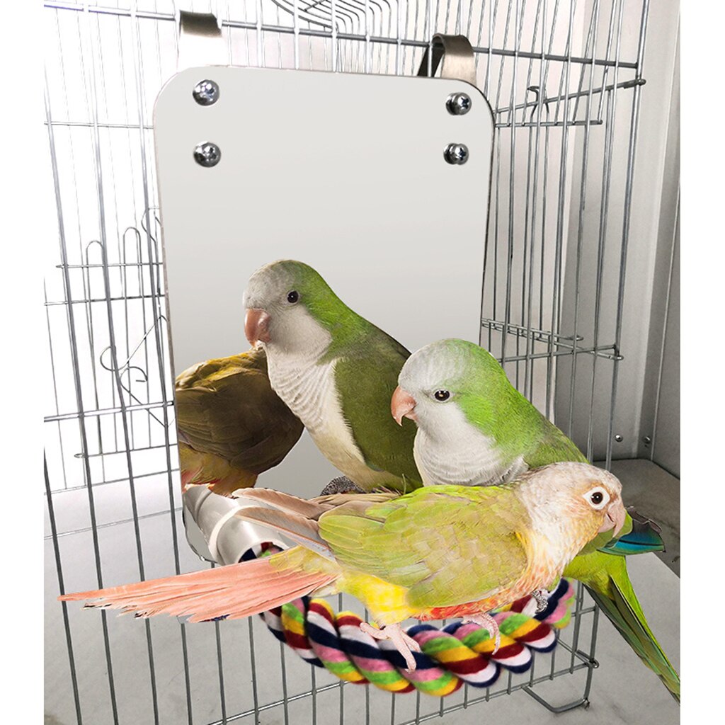 Espejo grande de pájaro y jaula de cuerda para percha, juguete para loros, periquito, Macaws, aletas, soporte de cuerda