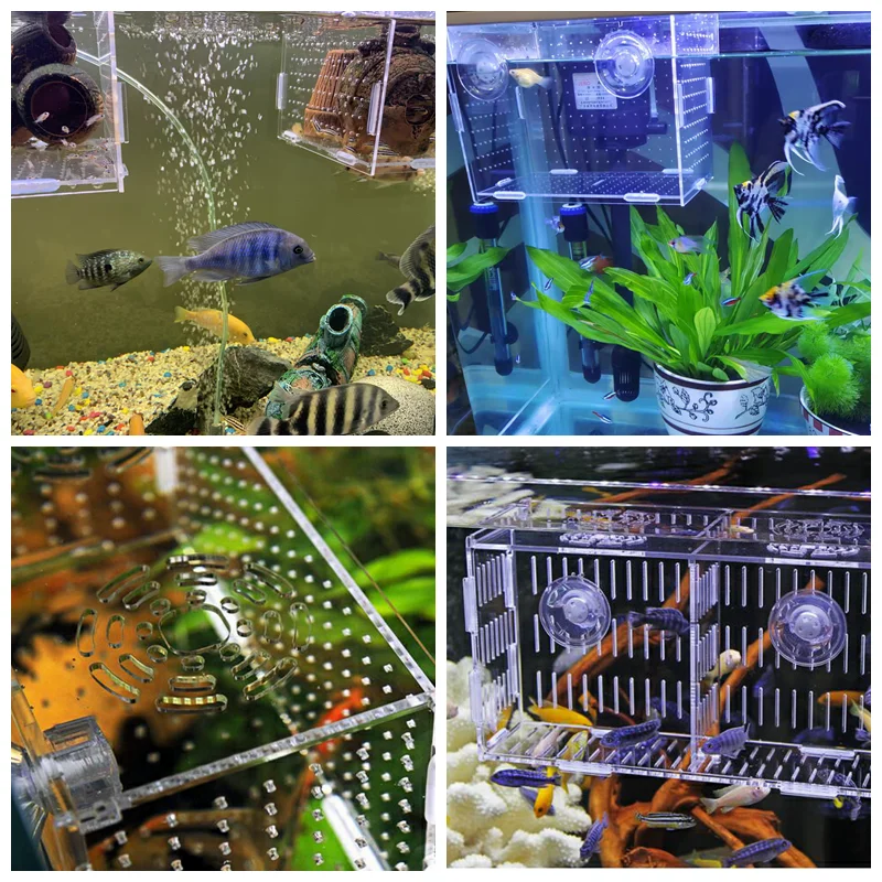 Aquarium boîte d'isolement boîte d'élevage de poissons acrylique boîte d'élevage boîte d'isolement incubateur de poissons diviseur accessoires d'aquarium fournitures de poisson