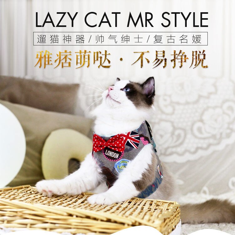Cat's special traction rope walking cat rope cat chain to prevent from breaking free chest strap traction belt cat rope pet