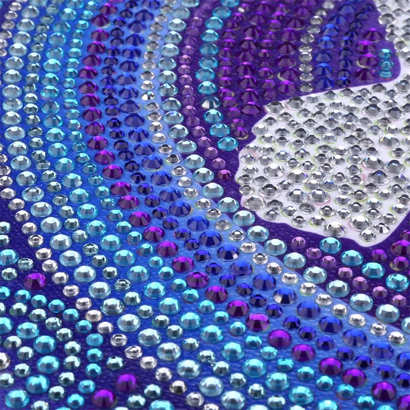 Diamond Painting DIY 5D Special Shape Rhinestone, Crystal Diamond Painting Set D2TD