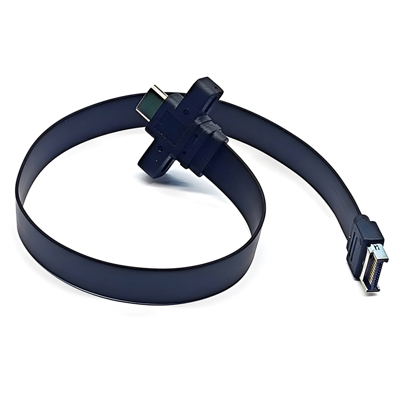 Cable de Panel frontal USB C de 30/50cm, conector adaptador tipo E a tipo C, Cable de extensión de soporte USB 3,2 GEN2 * 2 de 10/20Gb para PC de escritorio: 0,6 m