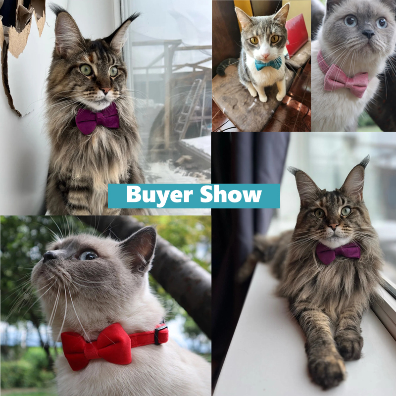 Samt-schleifen-katzenhalsband mit verstellbarem sicherheitsverschluss, einfarbiges katzenhalsband mit glöckchen, haustierzubehör