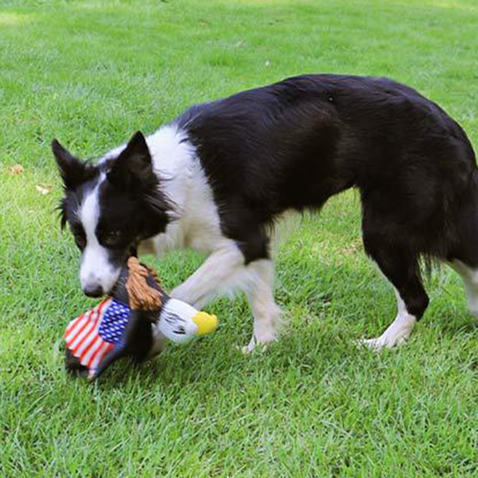 Aquila giocattolo per animali peluche interattivo divertente corda di cotone allevia la vuota cucciolo cigolante giocattoli da masticare addestramento cucciolo di animale domestico forniture regali 2021