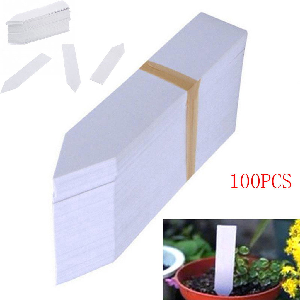 100 Pcs Plastic Plant Zaad Labels Pot Marker Kwekerij Stake Tags 10 Cm X 2 Cm Plant Bloemen Etiket tuin Decora Supply # L5