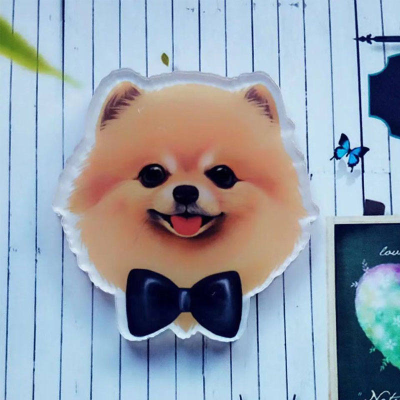 Schattige cartoon huisdier hond serie broches studenten favoriete doe-het-zelf kleding, schoenen, hoeden, tassen en accessoires badge hondenhalsband acryl: 14