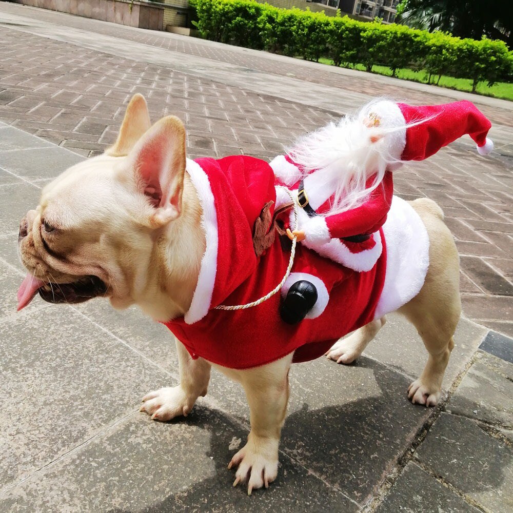 Pet Kleding Hond Kerst Kleding Verkleed Kerstman Rijden Herten En Hond Gekleed Up Voor Kerst