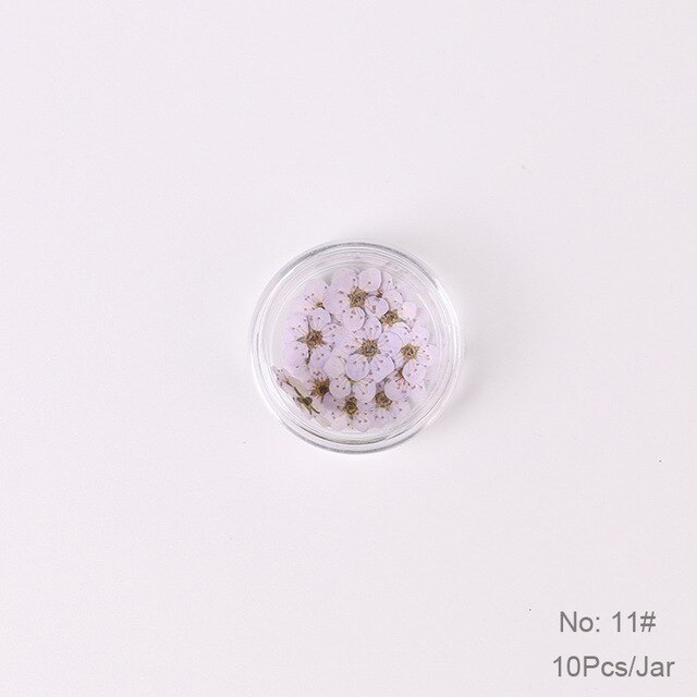 10 st  /1 box äkta nagelblommor gör-det-själv naturliga torkade blommor naglar konst dekoration torr flowe manikyr tillbehör blomdekaler: 11