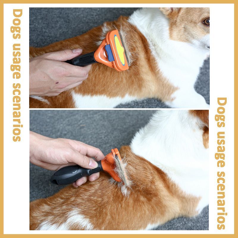 View of Untitled Image