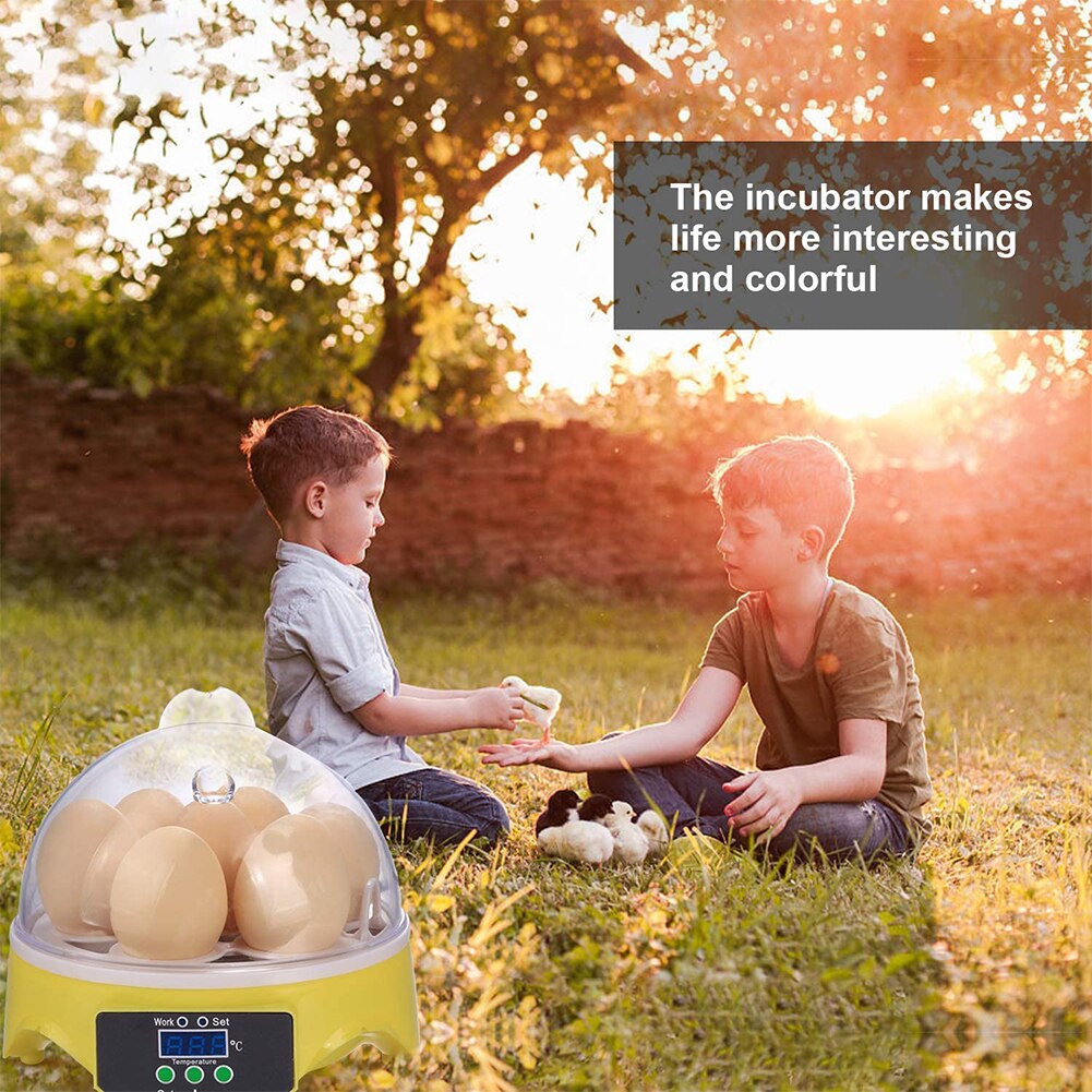 Incubadora de 7 huevos para aves, máquina automática para incubar huevos de codorniz inteligente, loro, suministros de granja, para niños