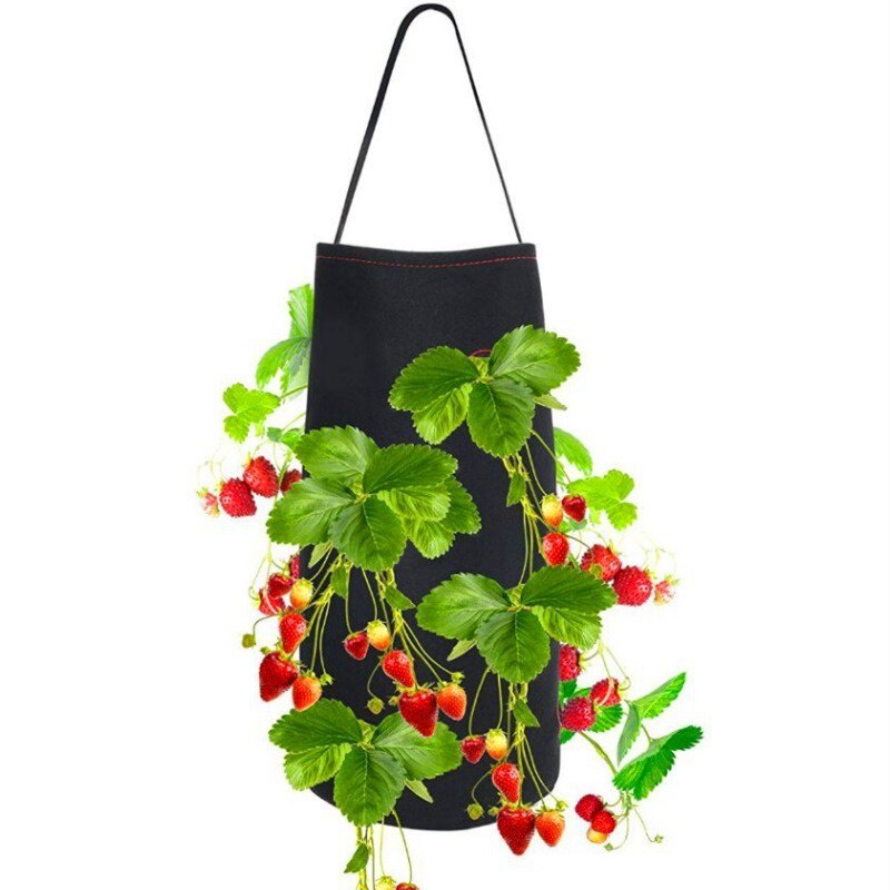 Felt Pins Strawberry Pouch 8/11 Pores Strawberry Potato Hanging Plant Pots Felt Bag: 11 holes x1
