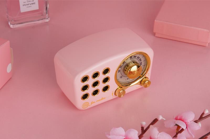 REDAMIGO przenośne Radio FM głośnik wzmacniacz Bluetooth odtwarzacz kart TF R919