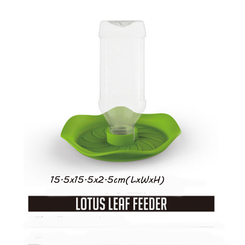 Distributeur d'eau de boisson pour reptiles, bol de nourriture, mangeoire à lézard, plat rond, bouteille de boisson: 1PCS-picture 1
