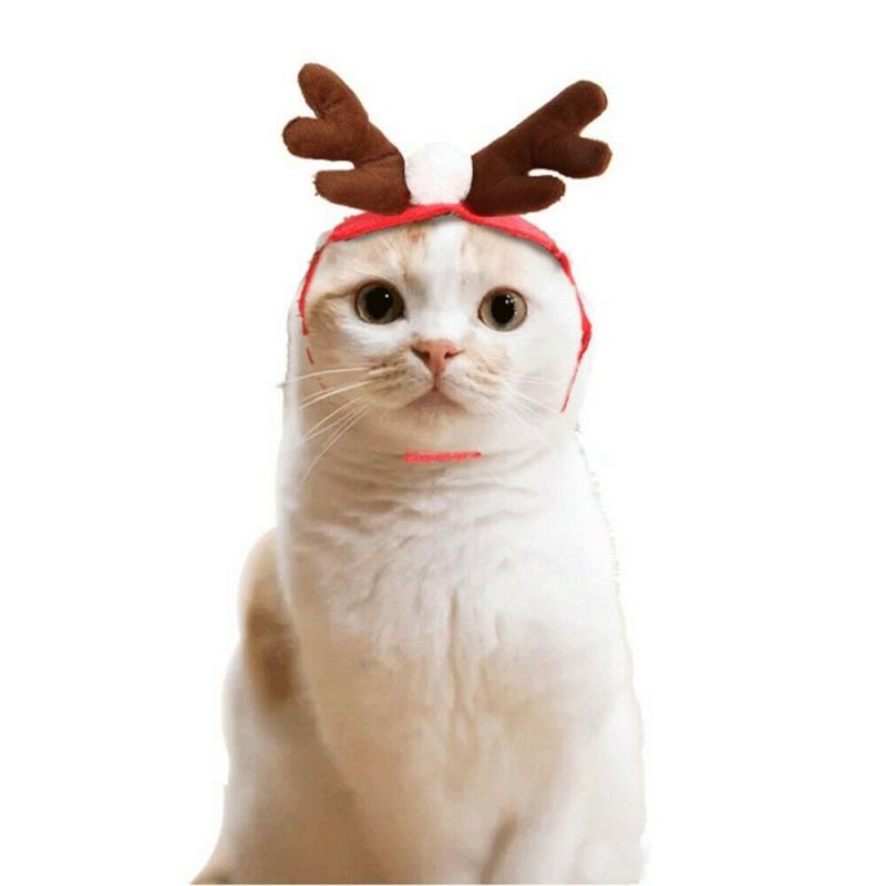 Jul efterår og vinter kæledyr tøj halstørklæde hat hund hund bliver til kat kappe julemanden rød varm elg hat hjorte pandebånd
