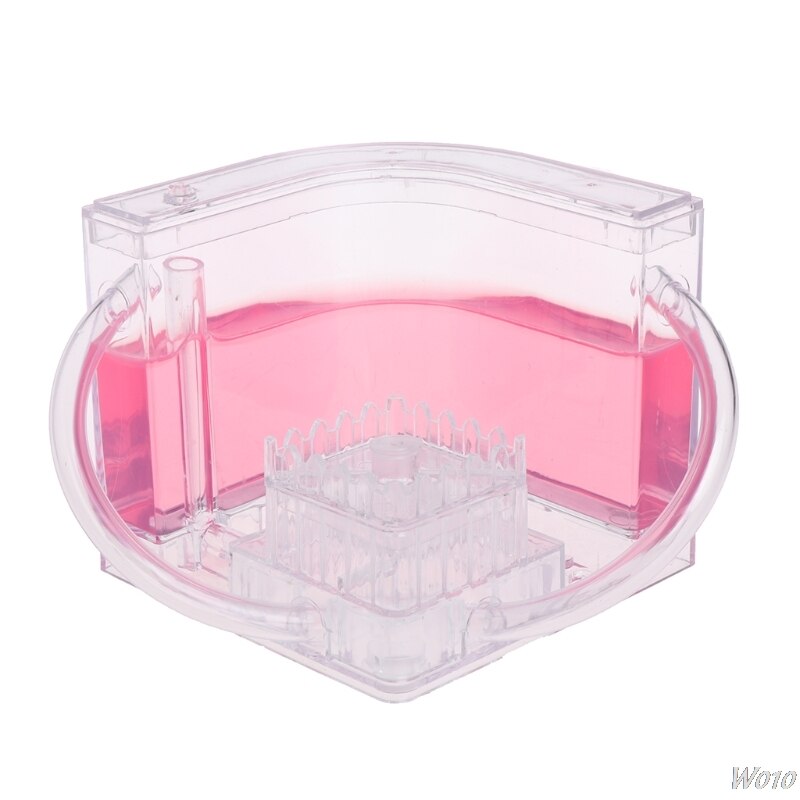 3D Ant Farm Educational Maze Live Feeding System Ants Habitat World Pet Villa: Red