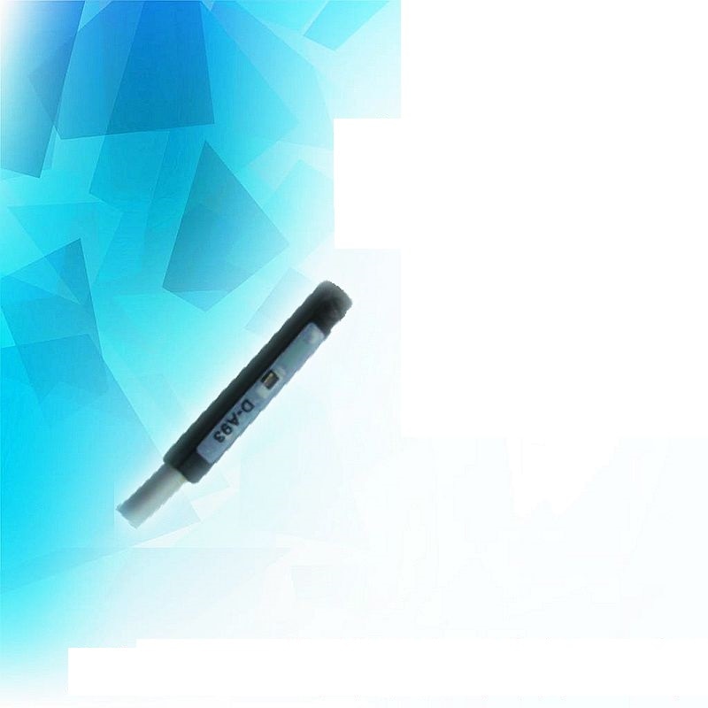 magnetic switch proximity switch D-A93 two-wire normally open