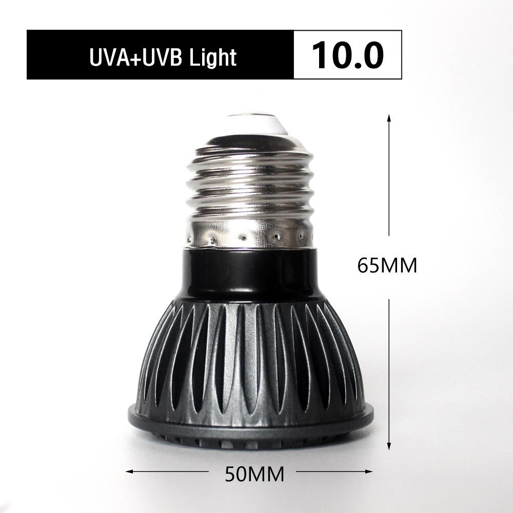 Lampe Chauffante Infrarouge 50W Pour Reptiles | Ampoule UVA Avec Douille E27 | Pour Terrarium Lézards, Serpents, Tortues | Verre De Quartz, Longue Durée - 5