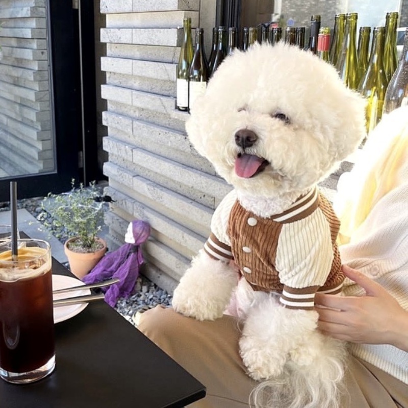 Bordado dos desenhos animados cão uniforme de beisebol inverno quente roupas para cães moda filhote de cachorro casaco engrossar macio gato casaco trajes para animais de estimação