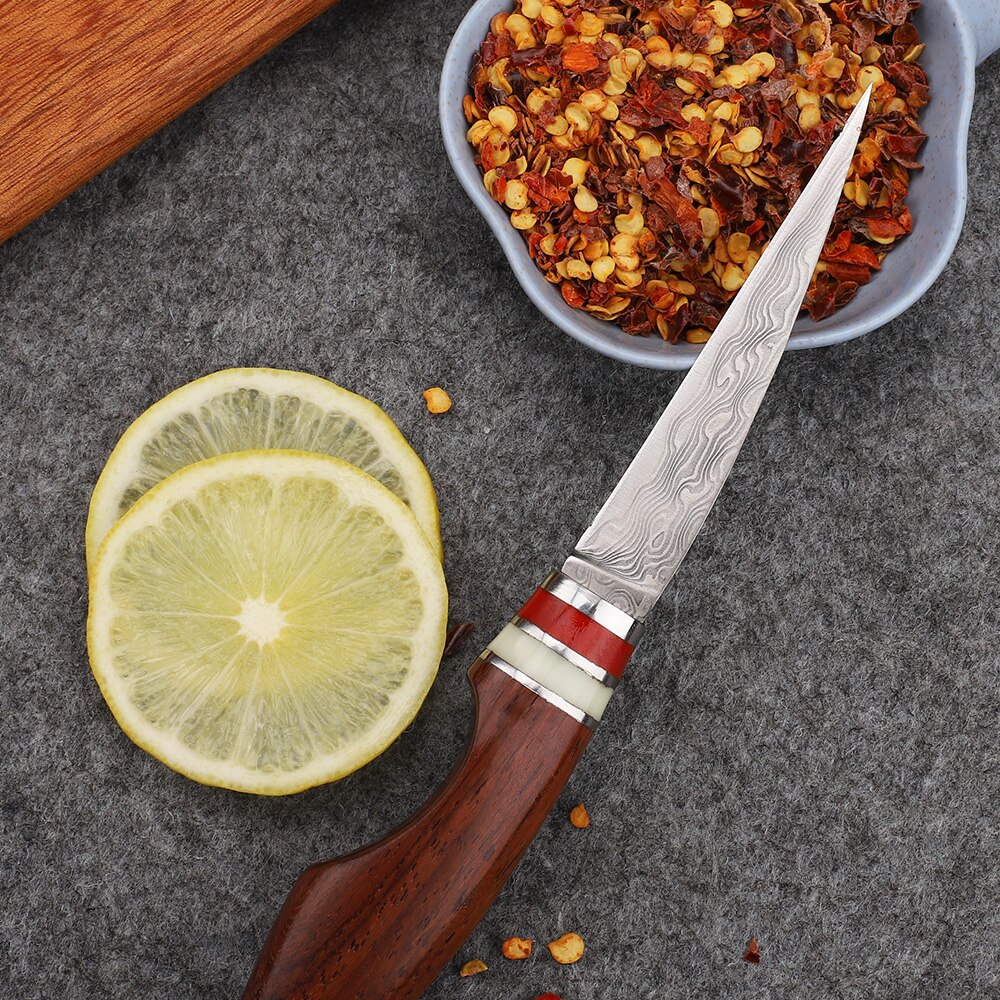 Handmade Chef VG10 Damascus Steel Plate Multifunctional Kitchen Carving