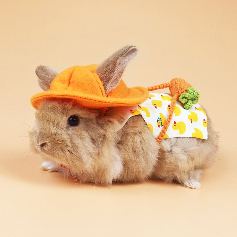 Alfileres de conejo encantadores para exteriores, arnés para hámster, chaleco para mascotas, traje de vestido de conejo, ropa de Animal pequeño, conjunto de sombrero