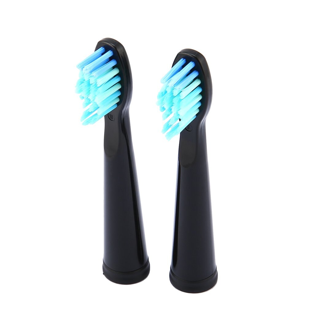 SEAGO SG - 949 Sonic Electric Toothbrush Rechargeable Adult Sonic Toothbrush 4 Mode Travel Toothbrush with 3 Brush Head: 2 brush heads