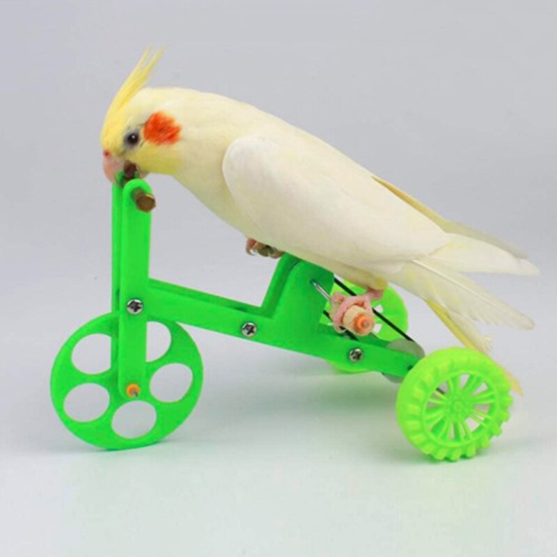 Juguete de bicicleta para loros, divertido juguete de entrenamiento para pájaros, accesorios interactivos educativos