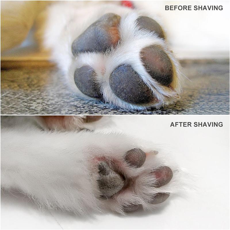 Kæledyrspote hårklipper genopladeligt kæledyrshårplejesæt, justerbar multifunktionel hundfødder barbermaskine (hvid)
