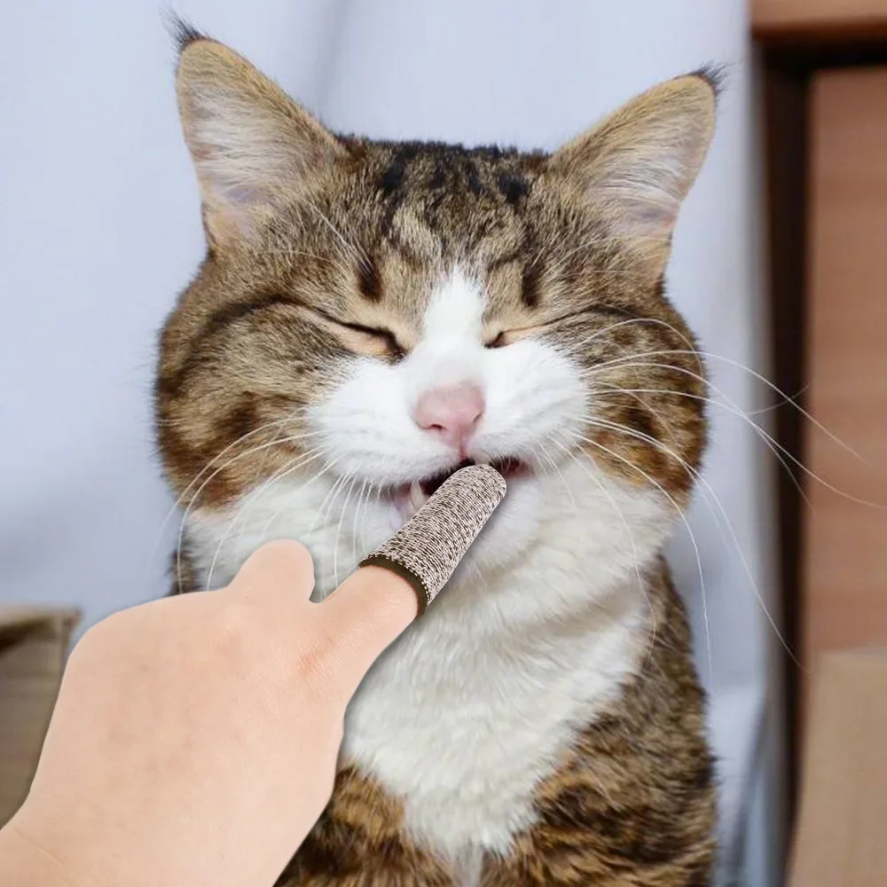 Haustier Zahn Reinigung Finger Zahnbürste Teddy Hund Pinsel Mundgeruch Zahnstein Zähne Hund Katze Reinigung Finger Abdeckung Haustier Supplie