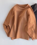 T-shirt à manches longues pour enfants, vêtement coréen, T-shirt à manches longues pour garçons, ample, couleur unie, velours, style américain, petit haut à même la peau, printemps: Marron / 100cm